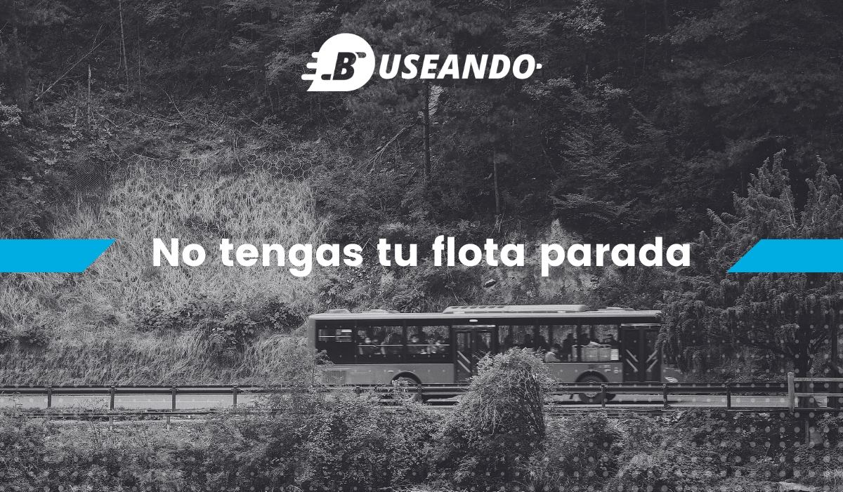 Esto ha facturado una empresa de Madrid con Buseando (caso de éxito)